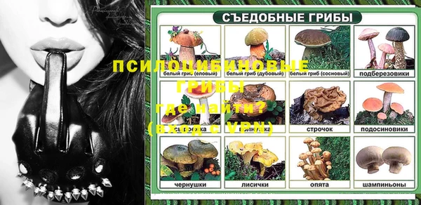 гашик Беломорск