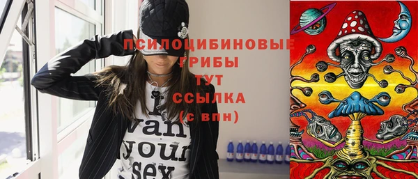 гашик Беломорск