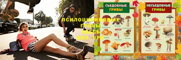 гашик Беломорск