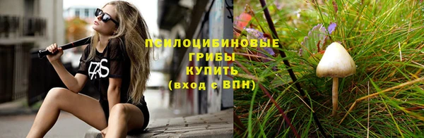 винт Белокуриха