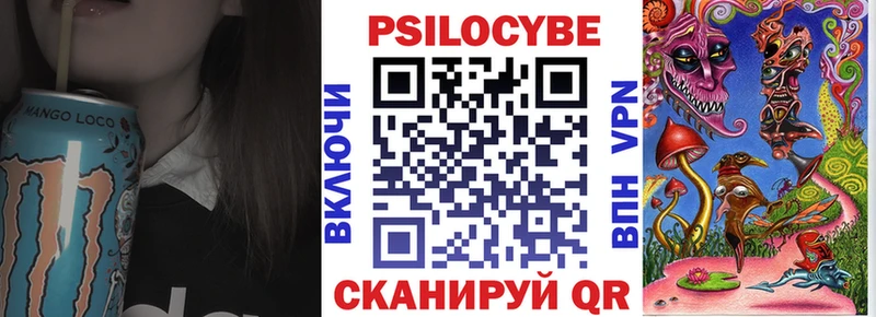 Псилоцибиновые грибы MAGIC MUSHROOMS  закладка  блэк спрут зеркало  мориарти телеграм  Сковородино 